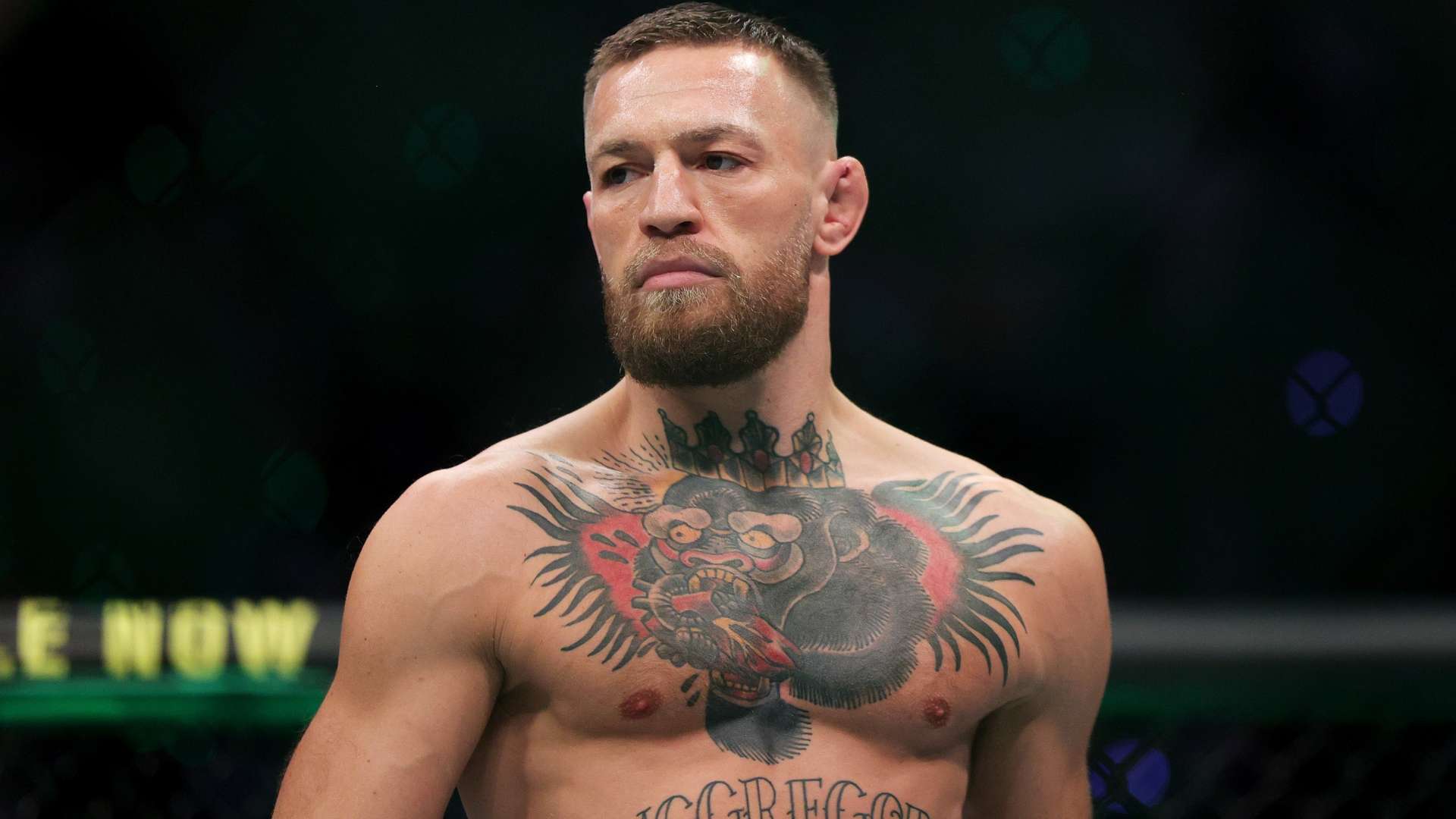 江苏女排对 江苏女排对